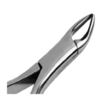 Dental Extracting Forceps #101 for Upper & Lower Premolars - Image 2