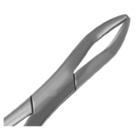 Equine Dental Wolf Tooth Extracting Forceps 11″ Hook Handle - Image 2