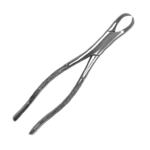 Extracting Forceps #23 Cow Horn Lower Molar