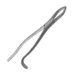 Equine Dental Wolf Tooth Extracting Forceps 11″ Hook Handle